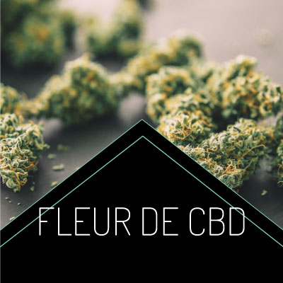 Fleur CBD